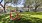 a yard with a swing set